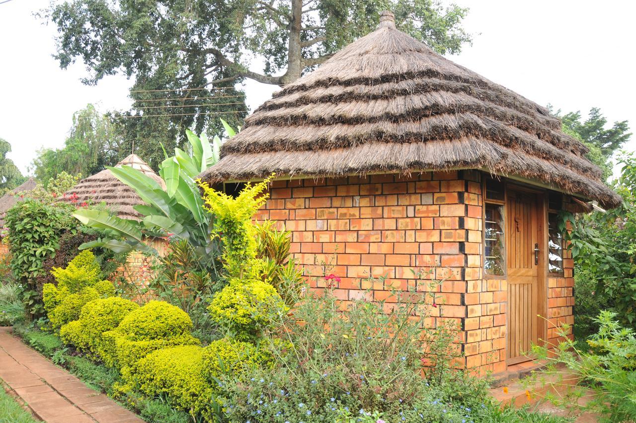 New Court View Hotel Masindi Exterior photo