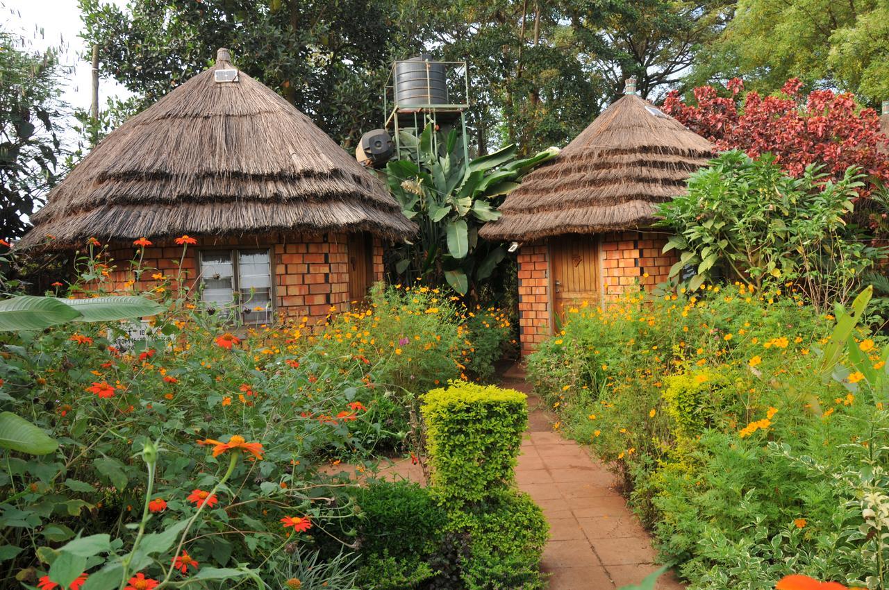 New Court View Hotel Masindi Exterior photo