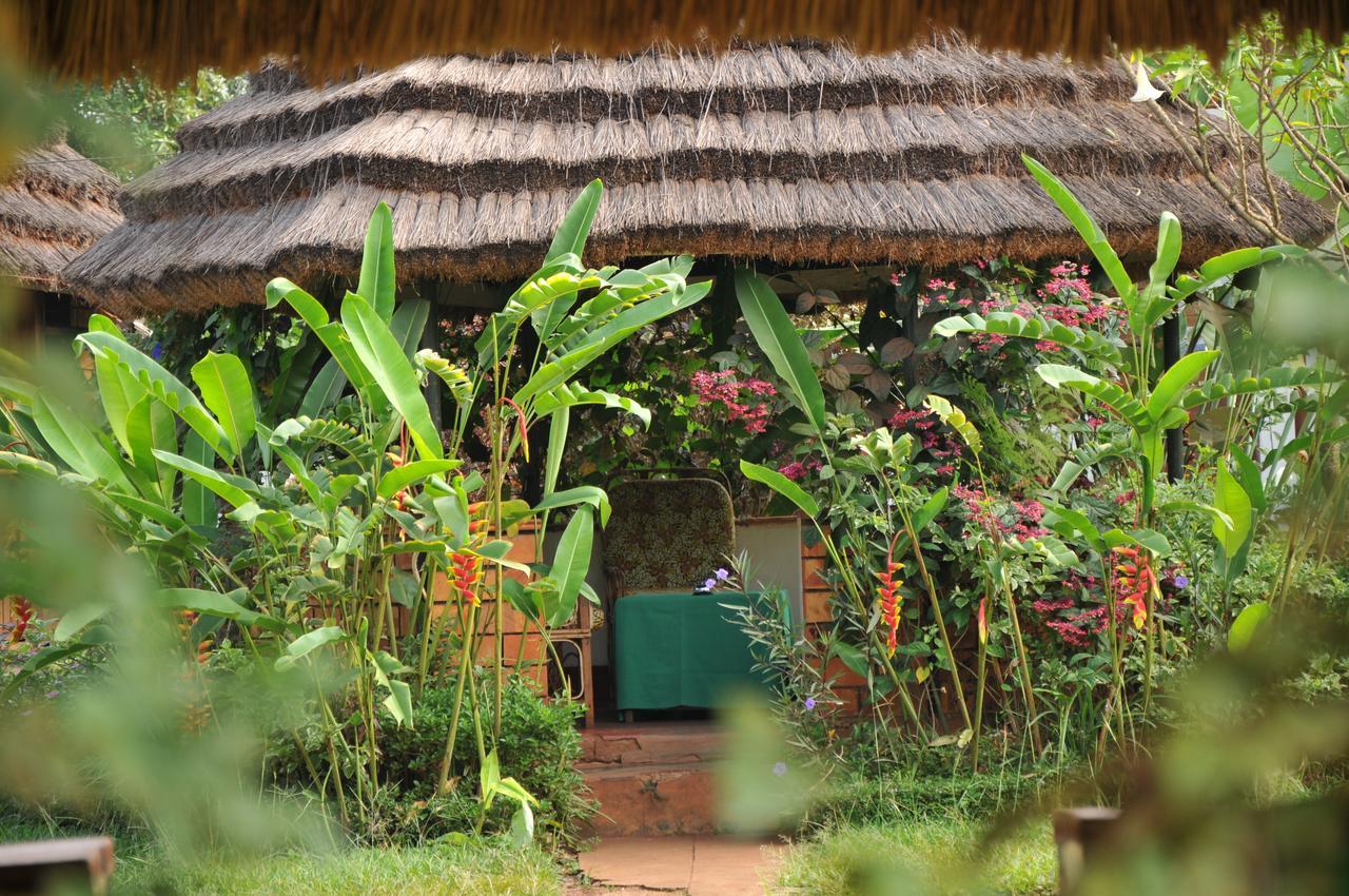 New Court View Hotel Masindi Exterior photo