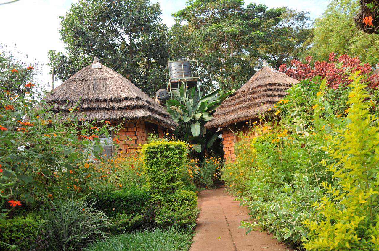 New Court View Hotel Masindi Exterior photo